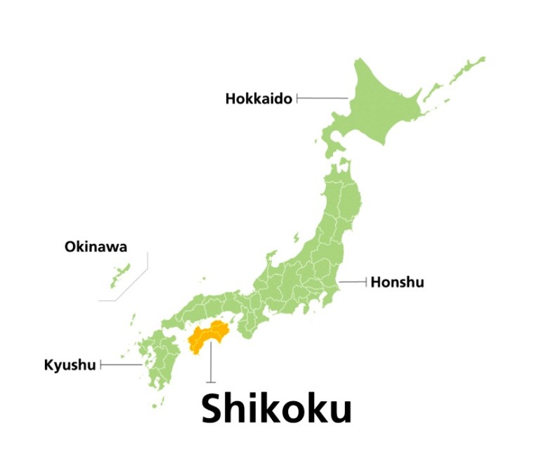Vùng Shikoku Nhật Bản: Thiên đường ẩm Thực - Ăn Gì Cũng Có